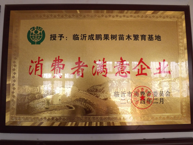 消費(fèi)者滿(mǎn)意企業(yè)
